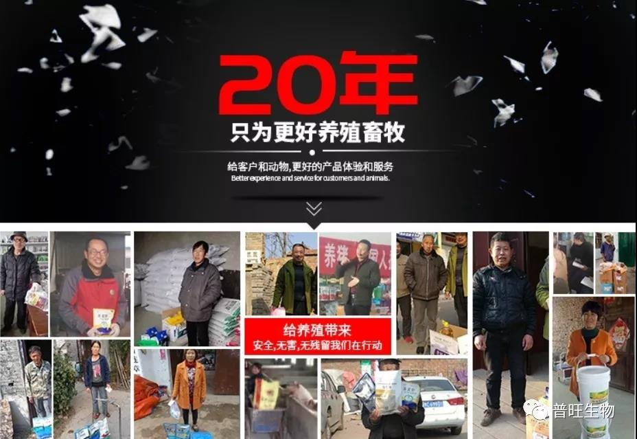 普旺獸藥22年只為更好養殖畜牧