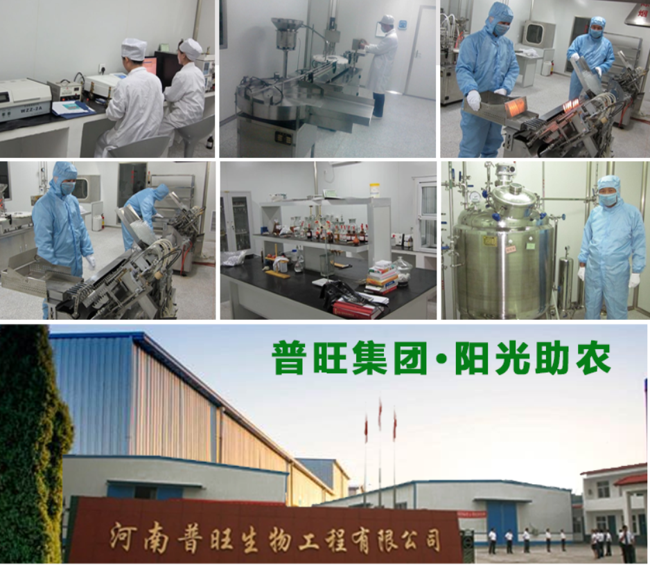 普旺集團 陽光助農